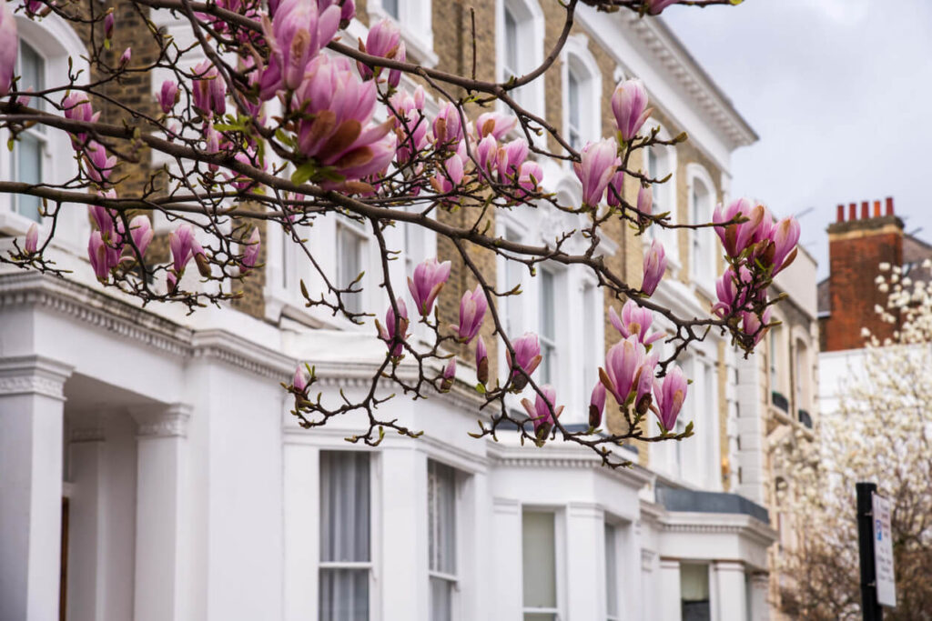 Living in Fulham London street with period houses